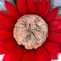 Ciondolo fiore - Fendi- dettagli